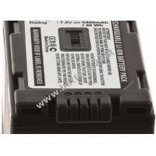 Batteria per Video Panasonic CGA D54/ CGA D54s