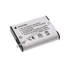 Batteria per Olympus Li 90B