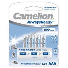 Camelion HR03 Micro AAA AlwaysReady, batteria Ni MH, confezione blister da 4 800mAh