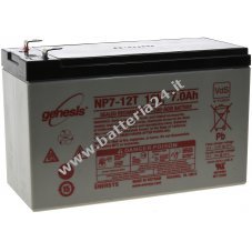 Batteria al piombo Enersys Hawker AGM Genesis 12V 7 Ah VdS