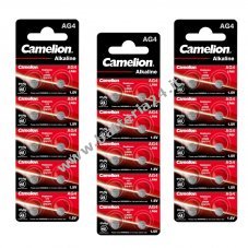 30x Camelion a bottone LR66 / AG4 / G4 / LR626 / 177 / SR626W / GP77A / 377